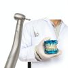 High Speed Dental Handpiece Medidenta AF90SG Ceramic Titanium-1