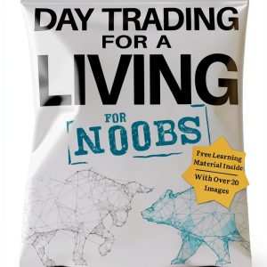 Investing for Noobs Kindle eBook Bint Books Beginner Guide-0